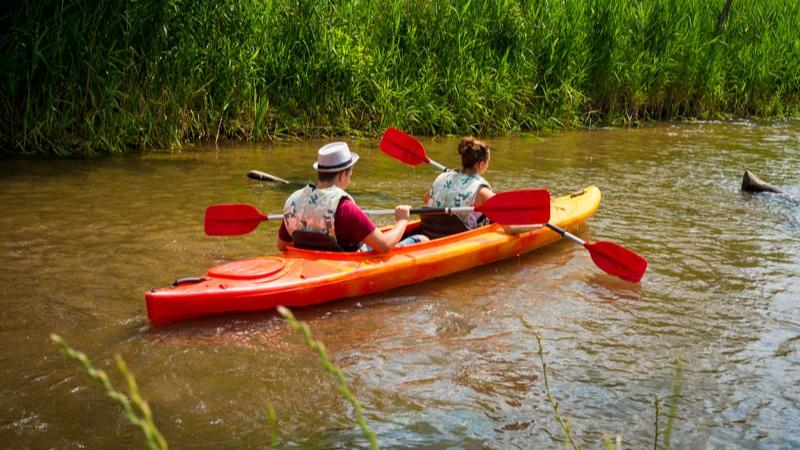 Zdjęcie na okładce dla Kajaki U Rudego - spływy kajakowe Obrocz, Zwierzyniec